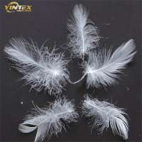 (2-4cm/4-6cm)washed white goose down feathers for sale