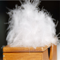 White Washed Down Feather Wholesale