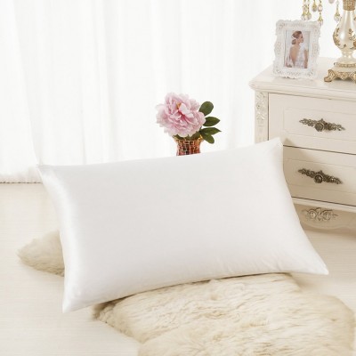 Wholesale 16/19/22mm 100% Mulberry Silk Pillow Case