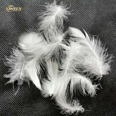 china wholesale 2-4 cm duck down feather for washed