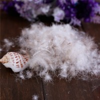 wholesale cheap 90% washed down and feather for sale